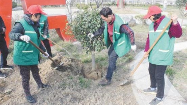 中心城區綠化養護奏響“春之聲”
